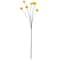 Yellow Billy Ball Stem by Ashland®
